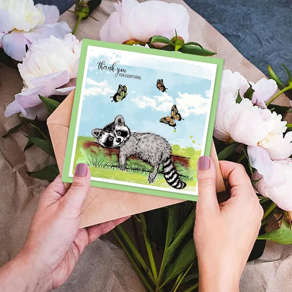 Realistische Waschbären klare  – Clear Silicone Stamps For Card Making Bewertung und Preis